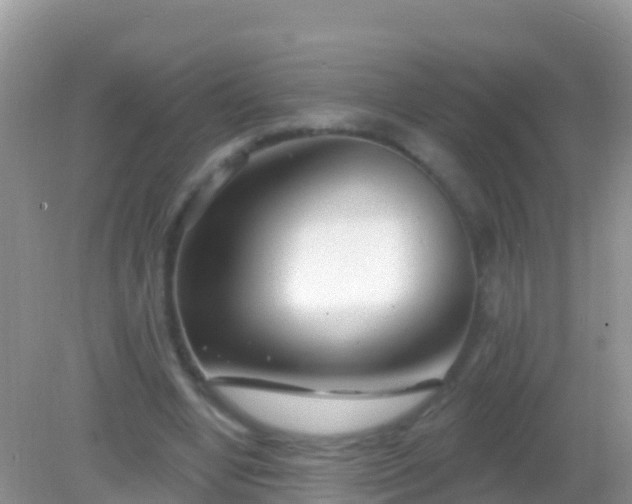 X0000082160442200701262338