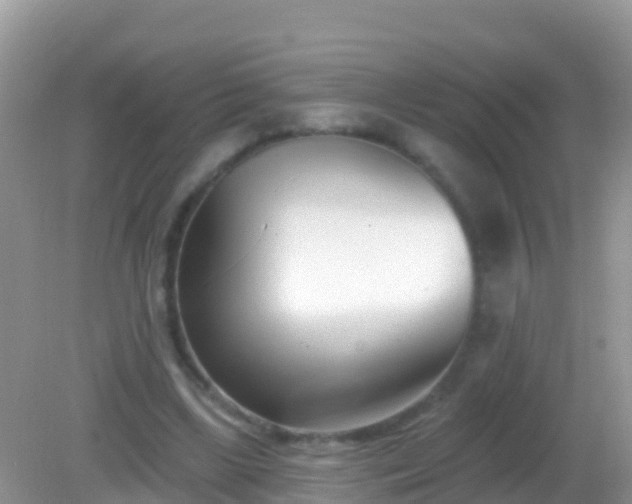 X0000082160443200701262338