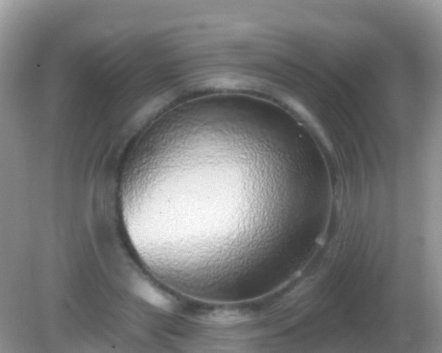 X0000082160445200701262338