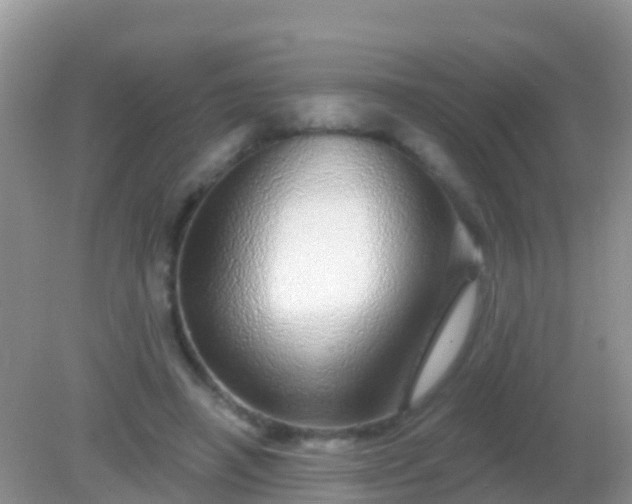 X0000082160450200701262338