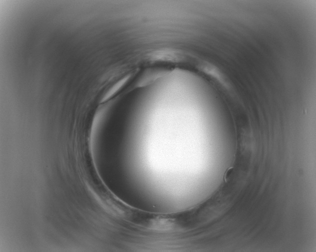 X0000082160451200701262338