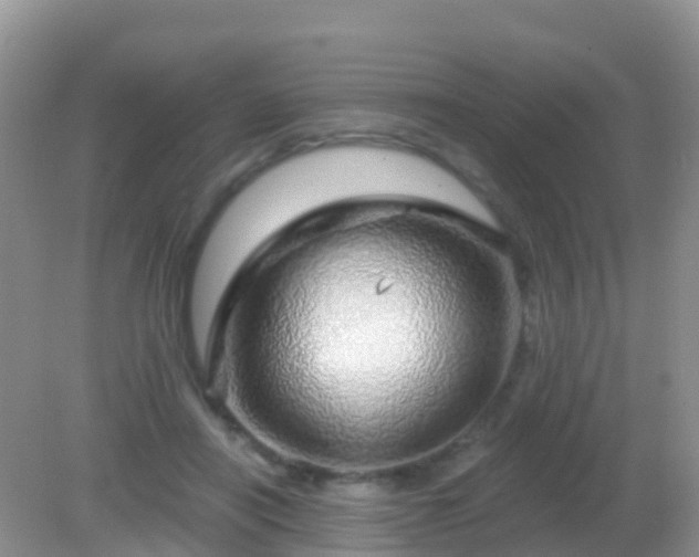 X0000082160454200701262338