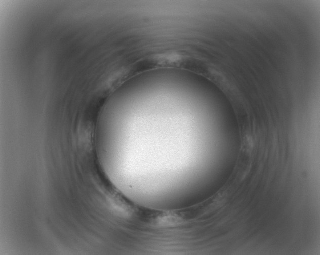 X0000082160468200701262339