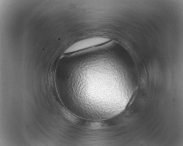 X0000082160473200701262339