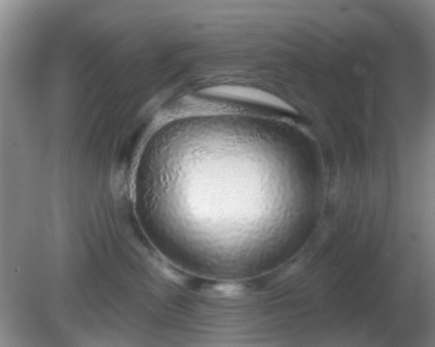 X0000082160478200701262339