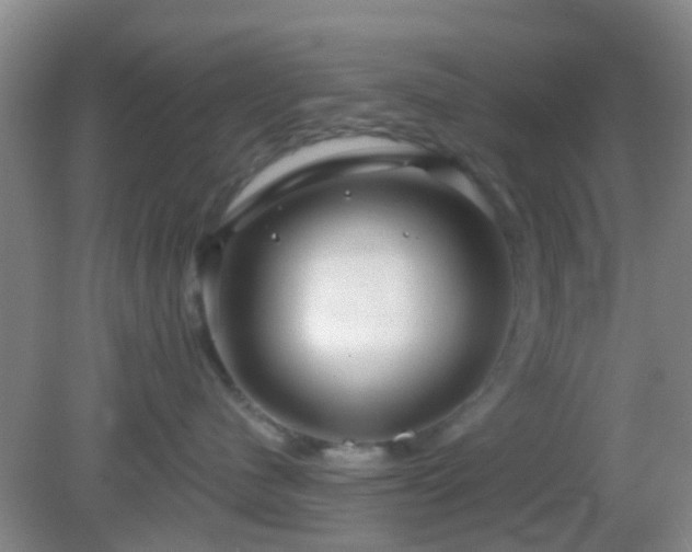 X0000082160480200701262339