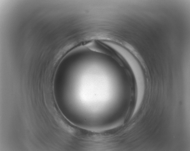 X0000082160481200701262338