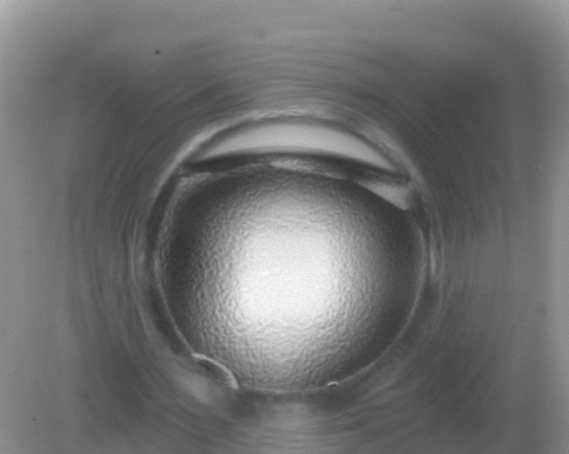X0000082160483200701262338