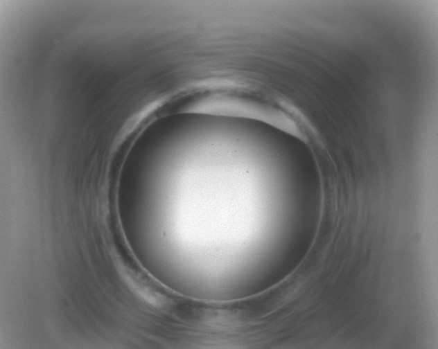 X0000082160486200701262338