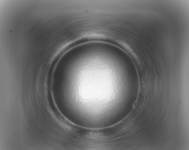 X0000082160487200701262338