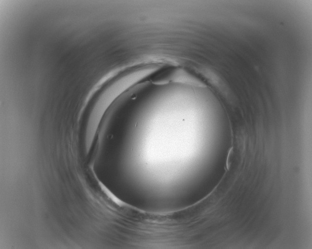 X0000082160488200701262338