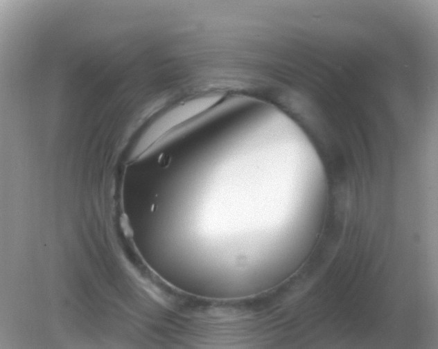 X0000082160490200701262338