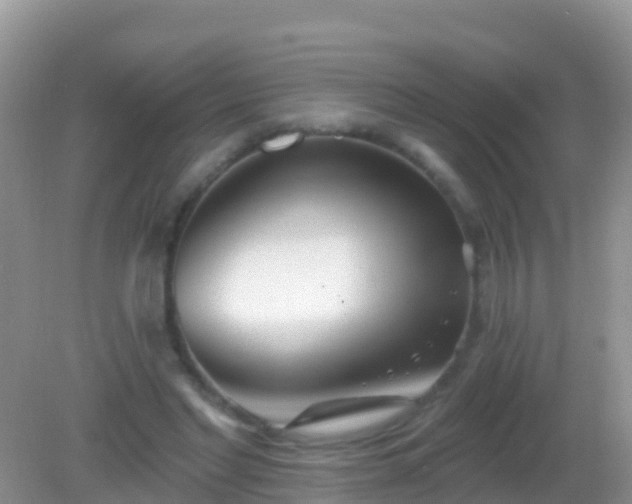 X0000082160493200701262338