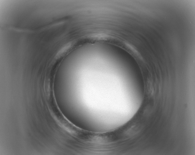 X0000082160494200701262338
