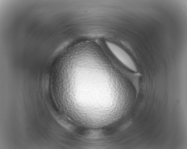 X0000082160495200701262338