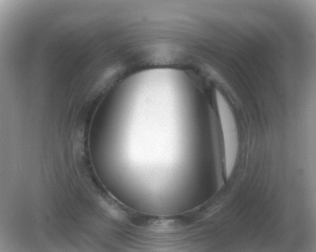 X0000082160497200701262338