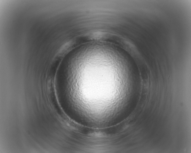 X0000082160503200701262338