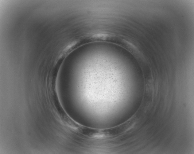 X0000082160504200701262338