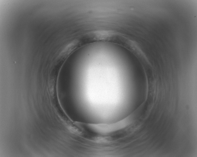 X0000082160505200701262338