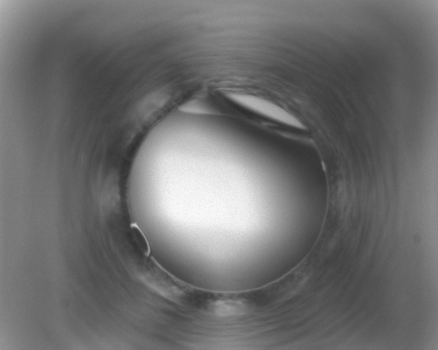 X0000082160508200701262338