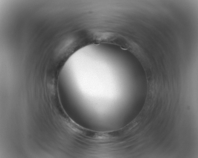 X0000082160510200701262338