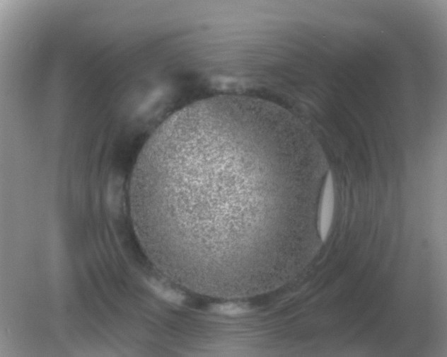 X0000082160511200701262338