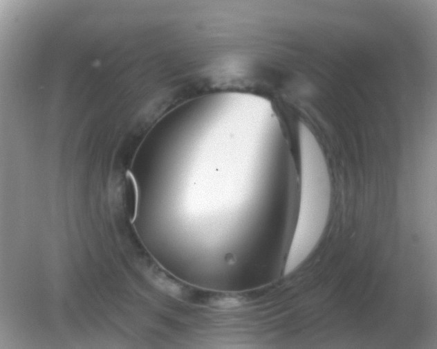 X0000082160513200701262337