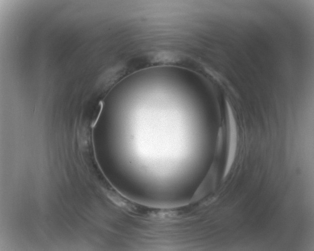 X0000082160517200701262337