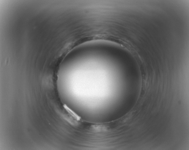 X0000082160520200701262337
