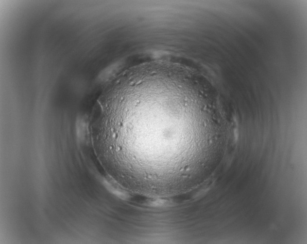 X0000082160527200701262337