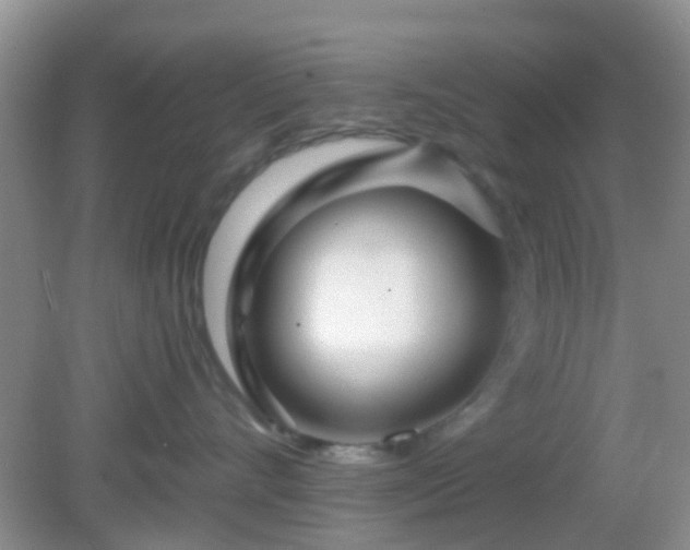 X0000082160528200701262337