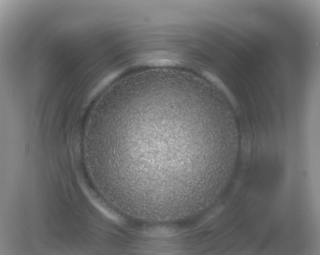 X0000082160533200701262336