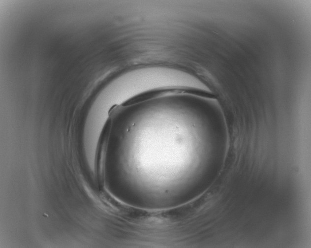 X0000082160542200701262337
