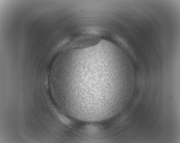 X0000082160545200701262337