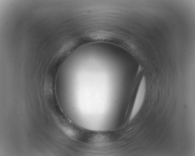 X0000082160547200701262337