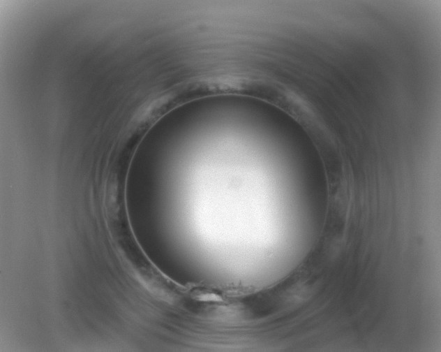 X0000082160548200701262337