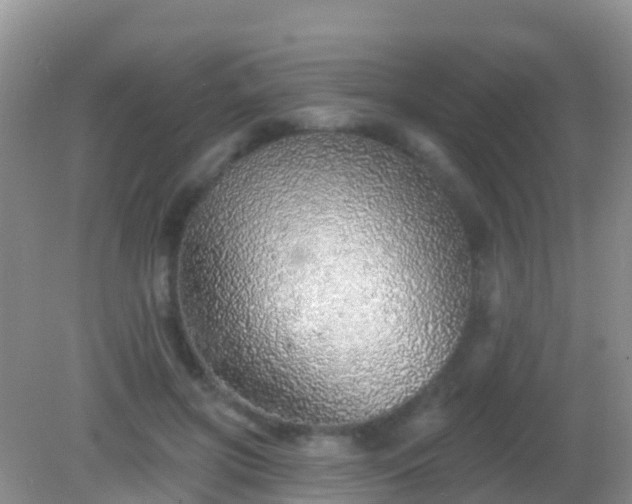 X0000082160549200701262337
