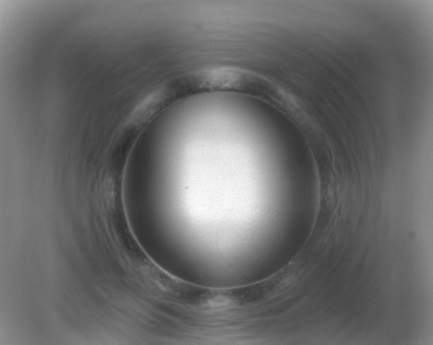 X0000082160551200701262337