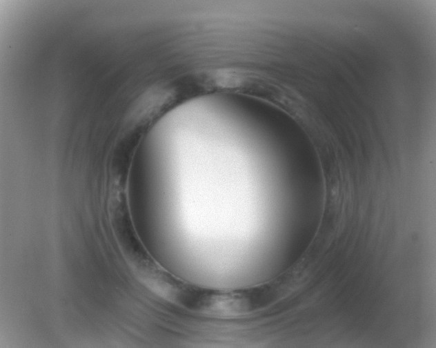 X0000082160555200701262337