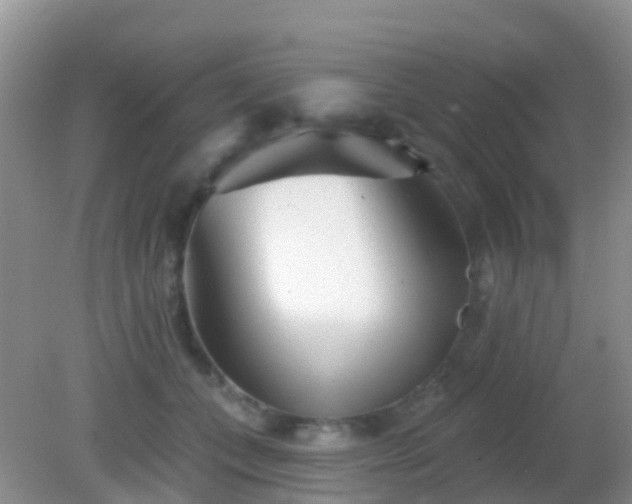 X0000082160559200701262337