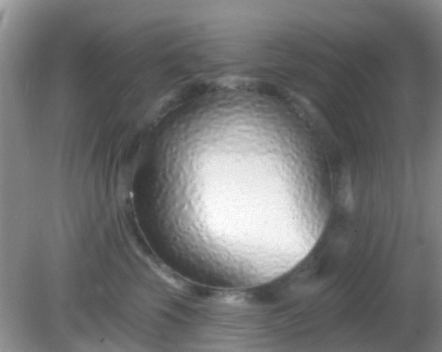 X0000082160569200701262337