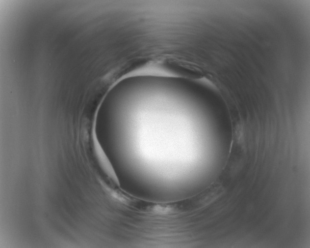 X0000082160570200701262337