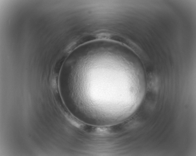 X0000082160573200701262337