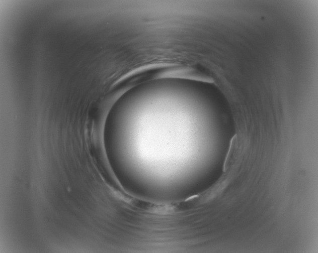 X0000082160576200701262337