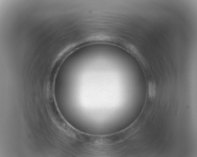 X0000082160579200701262336