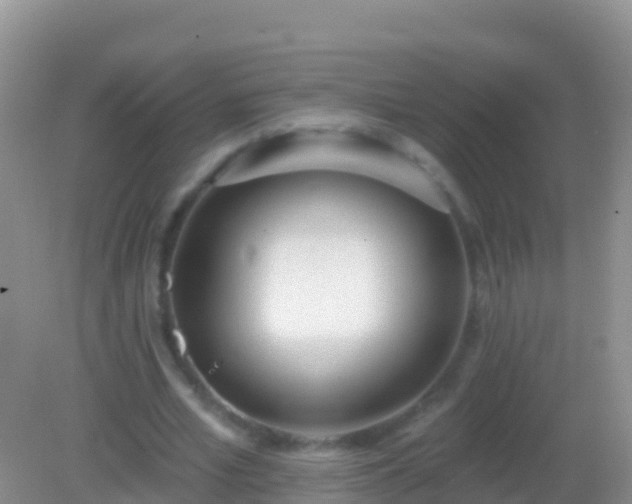 X0000082160581200701262336
