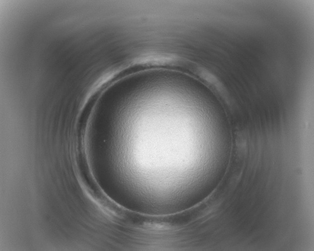X0000082160582200701262336