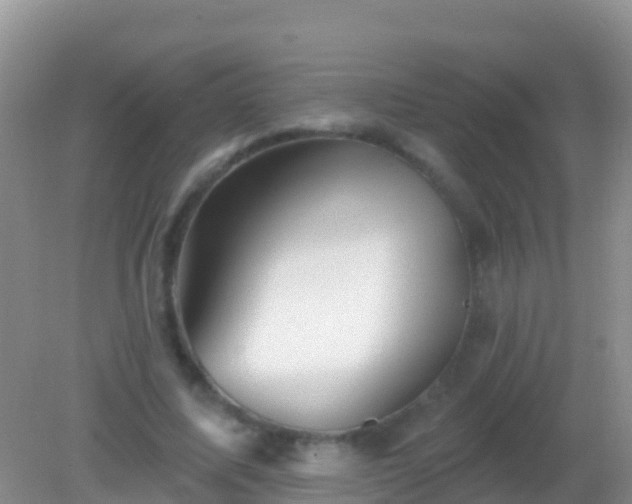 X0000082160587200701262336