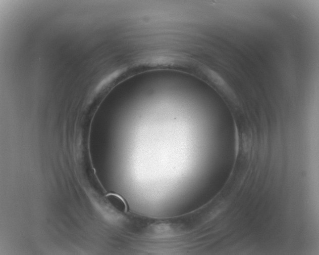 X0000082160588200701262336