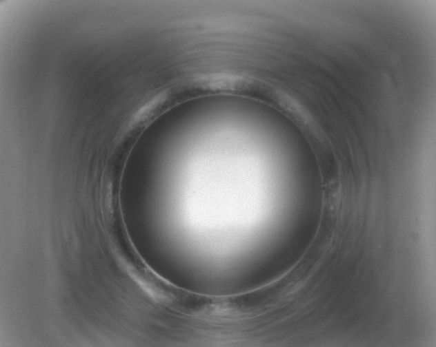 X0000082160589200701262336